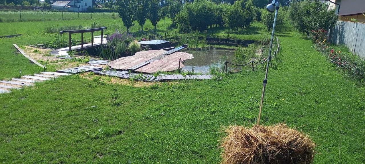 Casa Danei Hotell Braşov Eksteriør bilde