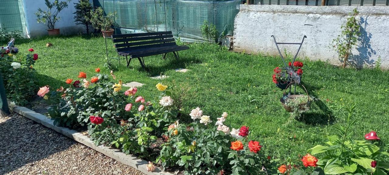 Casa Danei Hotell Braşov Eksteriør bilde